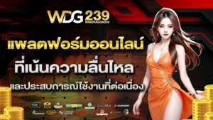 windragon238