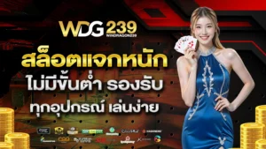 windragon239